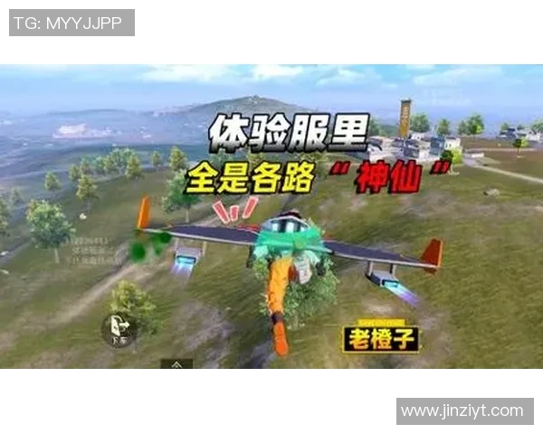 和平精英热议LNG状态引发争议玩家观点各异引发热烈讨论